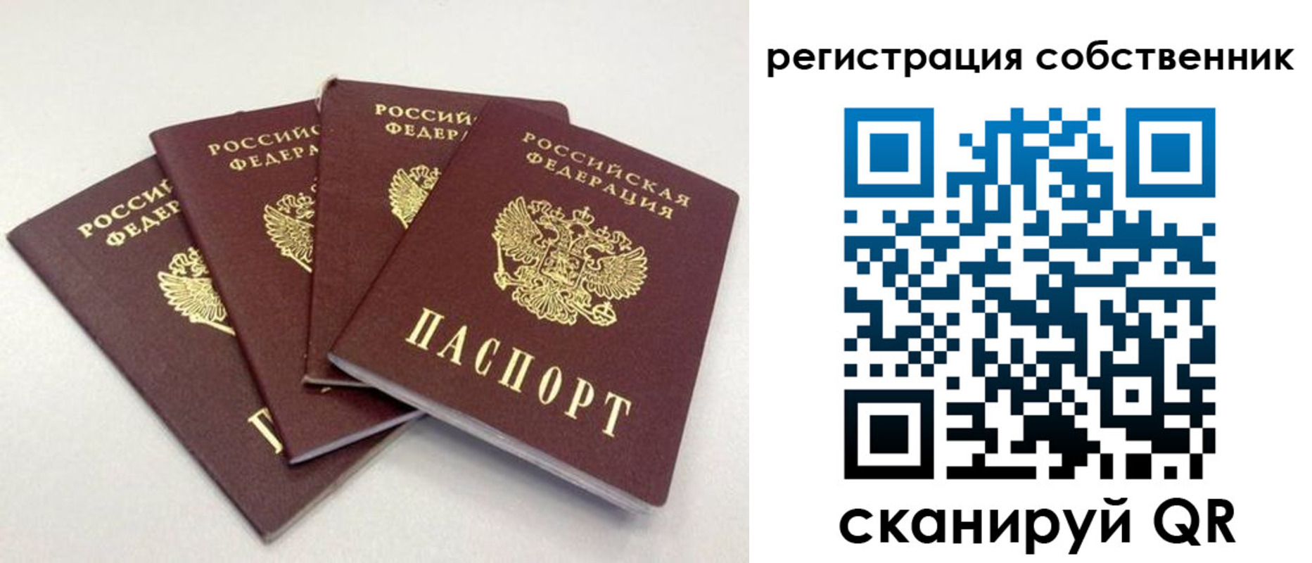 прописка для школы в Дивногорске
